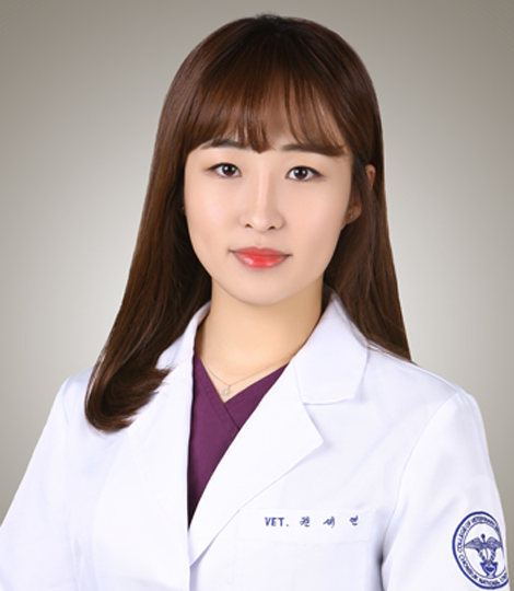 권세연