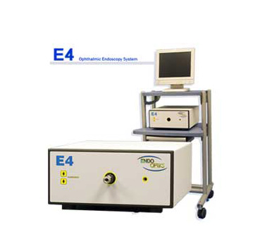 E4 Endooptics